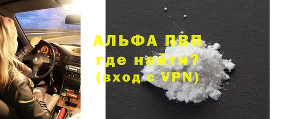 прущие грибы Новодвинск